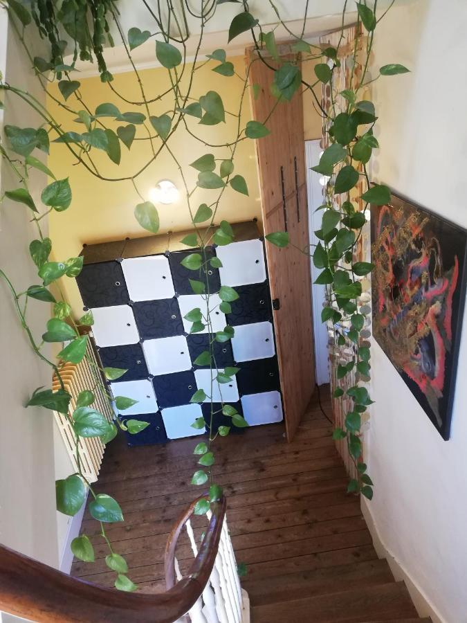 Apartament La Chambre D'Hote De Christelle Cherbourg-en-Cotentin Zewnętrze zdjęcie